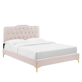 Amber Tufted Performance Velvet Twin Platform Bed By Modway - MOD-6778 - Pink