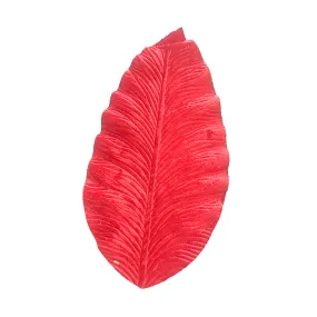 Diffenbachia Velvet Leaf